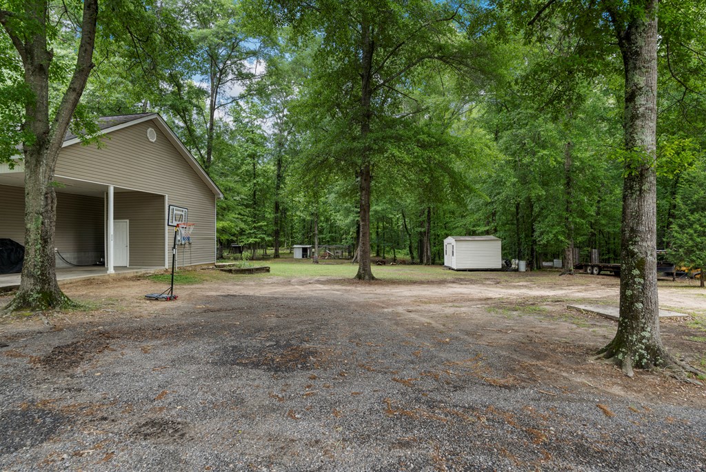 1655 County Line Church Road Warm Springs, GA 31830 - Photo 4 of 39 Gallery Image 4