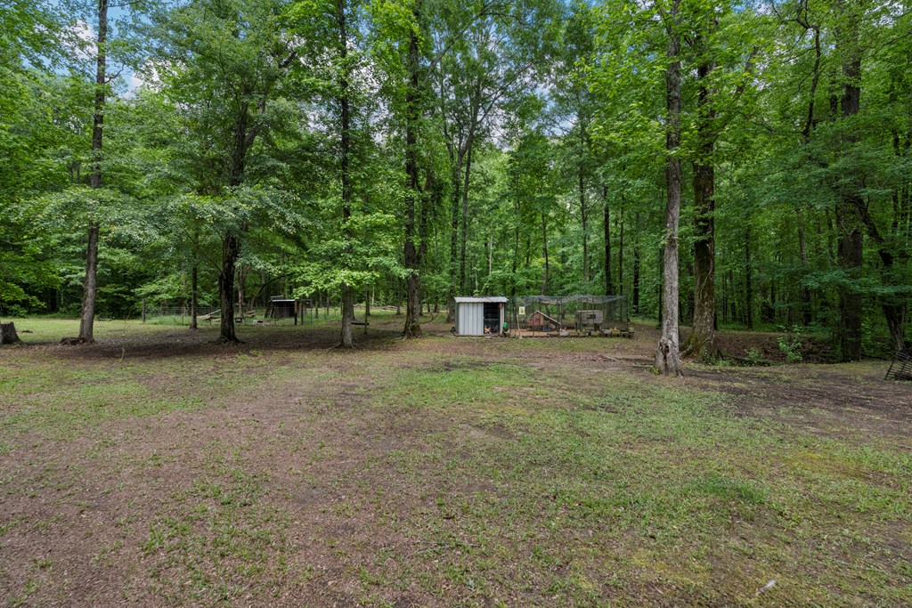 1655 County Line Church Road Warm Springs, GA 31830 - Photo 6 of 39 Gallery Image 6