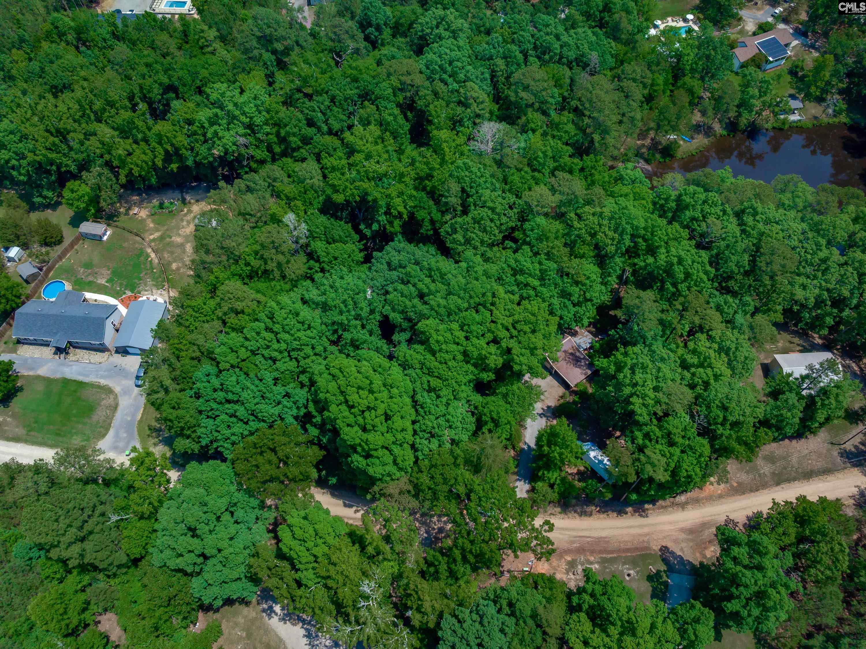 841 Foxden Road Gilbert, SC 29054 - Photo 48 of 52