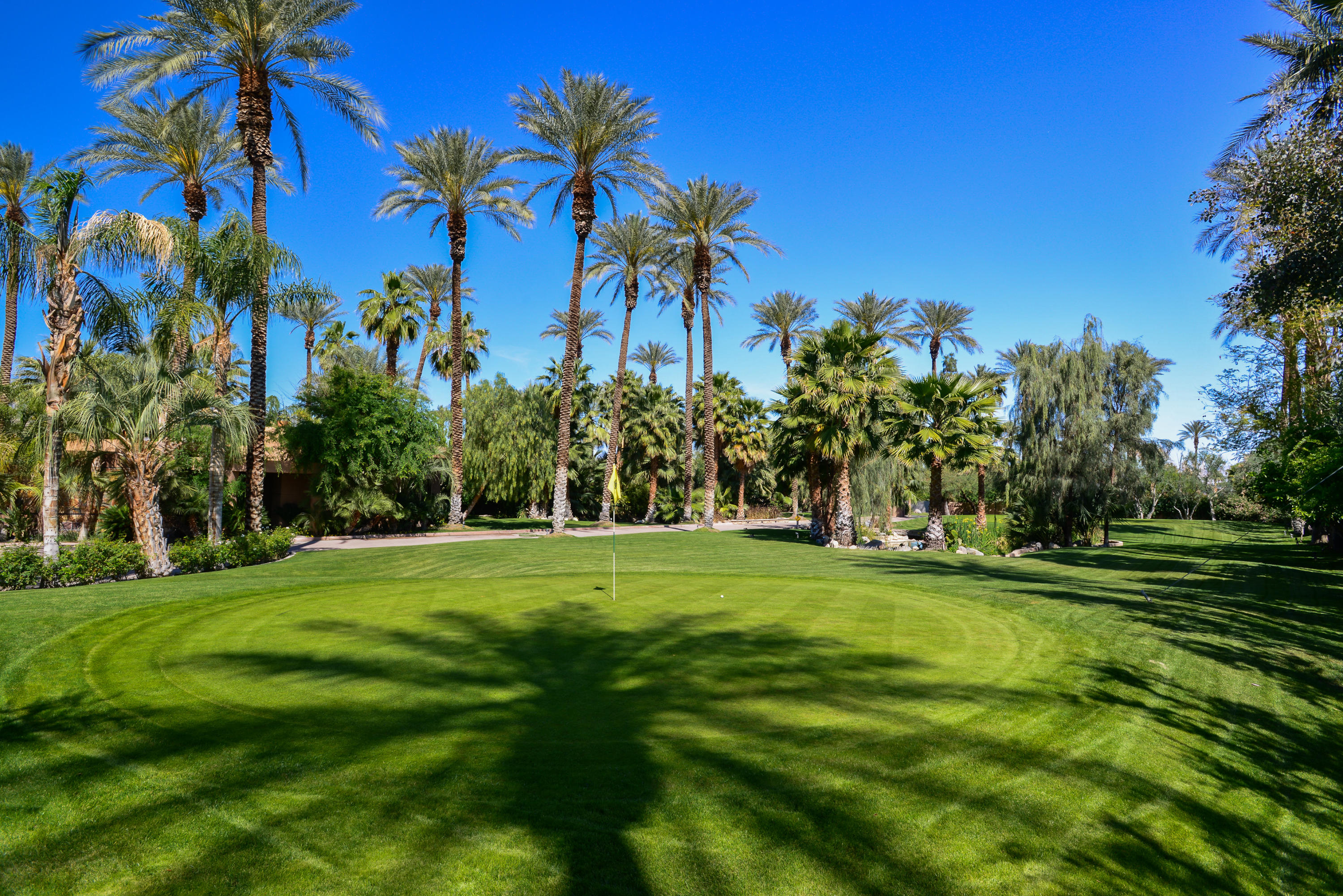 3 Mozart Lane Rancho Mirage, CA 92270 - Photo 34 of 41 a view of a park with a palm trees