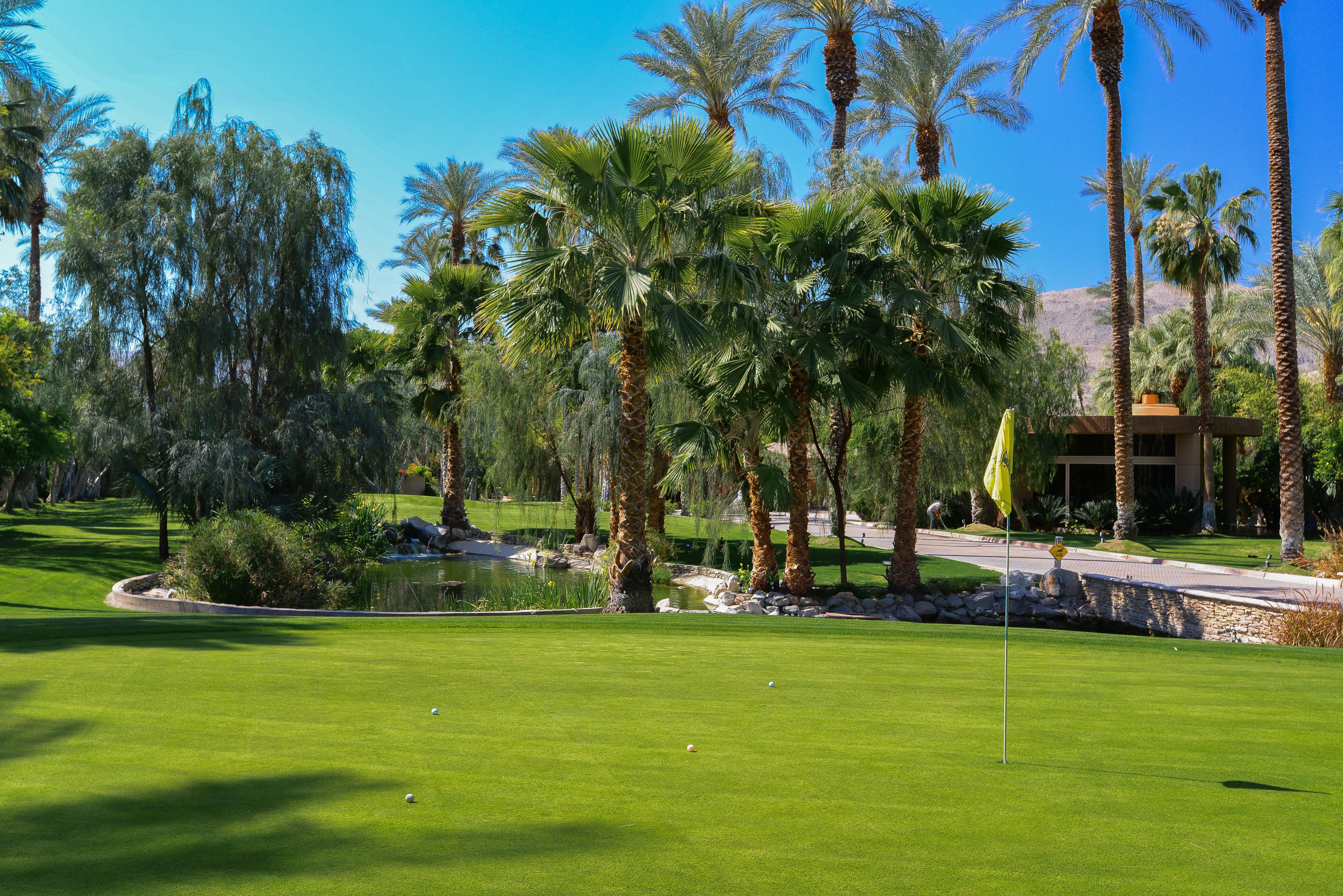 3 Mozart Lane Rancho Mirage, CA 92270 - Photo 35 of 41 a view of a park with palm trees