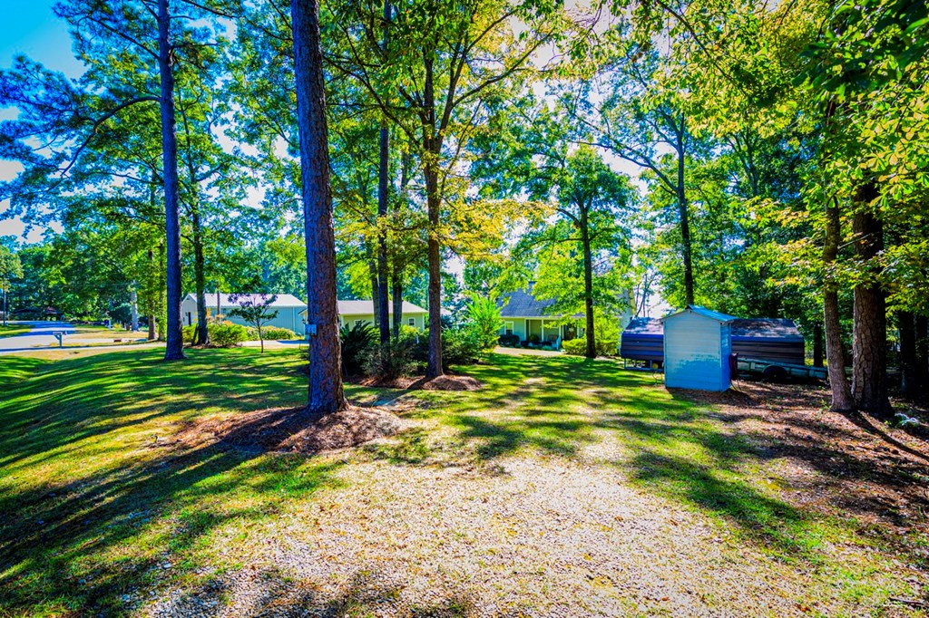 589 Miller Road Abbeville, AL 36310 - Photo 48 of 72 Lot