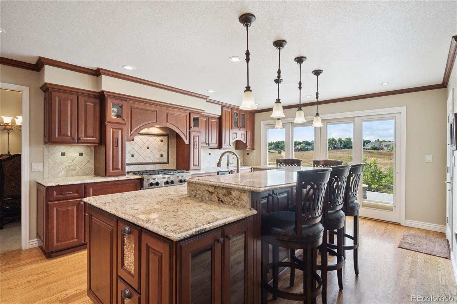 1554 Sunset Ridge Road Highlands Ranch, CO 80126 - Photo 11 of 37 Gallery Image 11