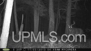 N1766 Old Plank Road Wetmore, MI 49895 - Photo 22 of 25