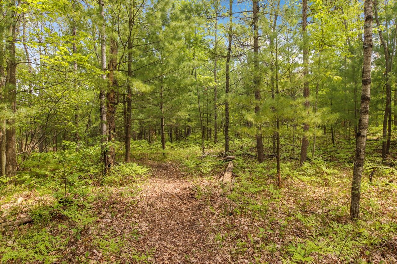 0 Brown Bridge Road Traverse City, MI 49696 - Photo 22 of 25