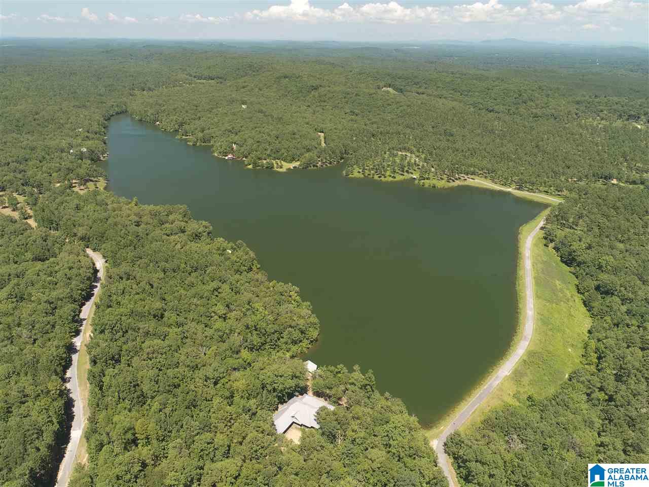 827 Colleton Forest Way, Unit 20 ACRES Vincent, AL 35178 - Photo 21 of 31