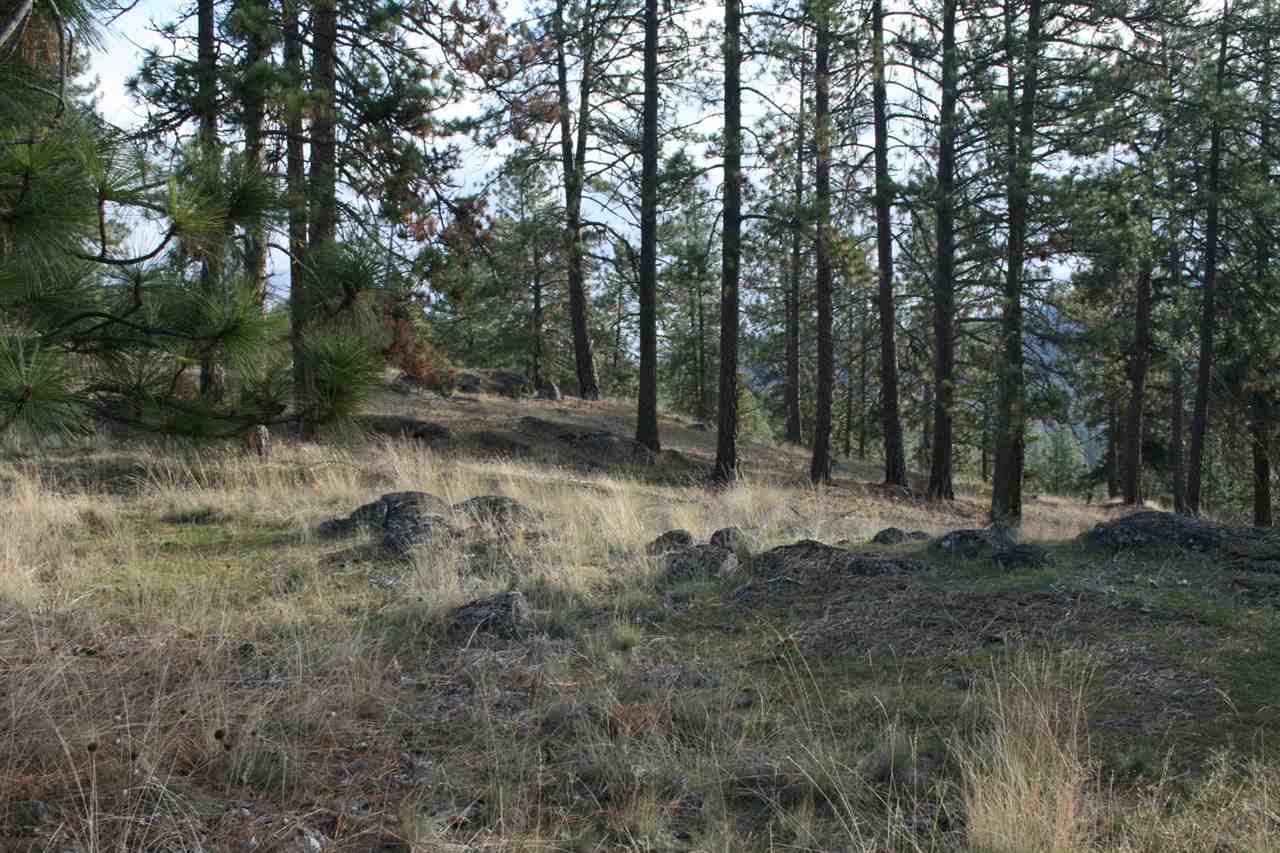 0 Weaver Road Deer Park, WA 99006 - Photo 11 of 20