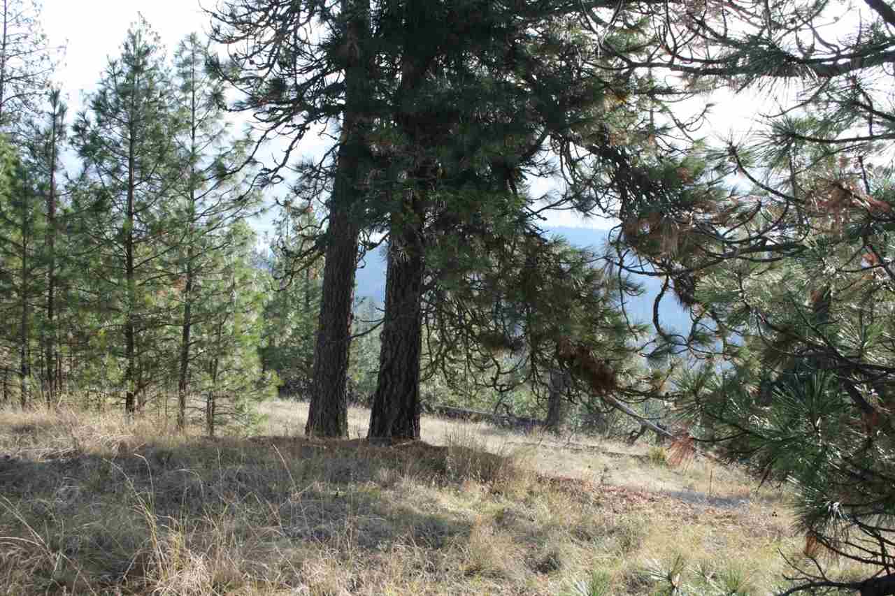 0 Weaver Road Deer Park, WA 99006 - Photo 12 of 20