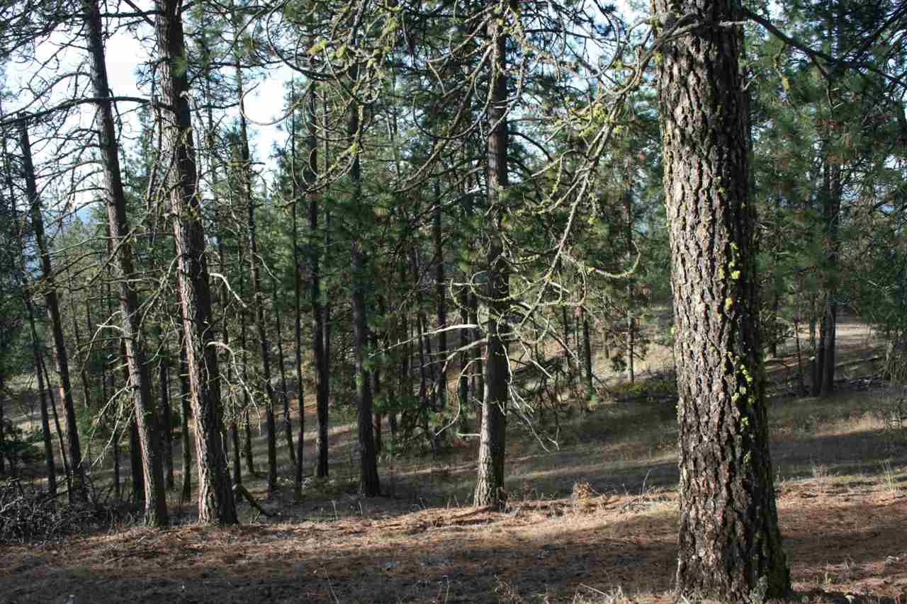 0 Weaver Road Deer Park, WA 99006 - Photo 14 of 20