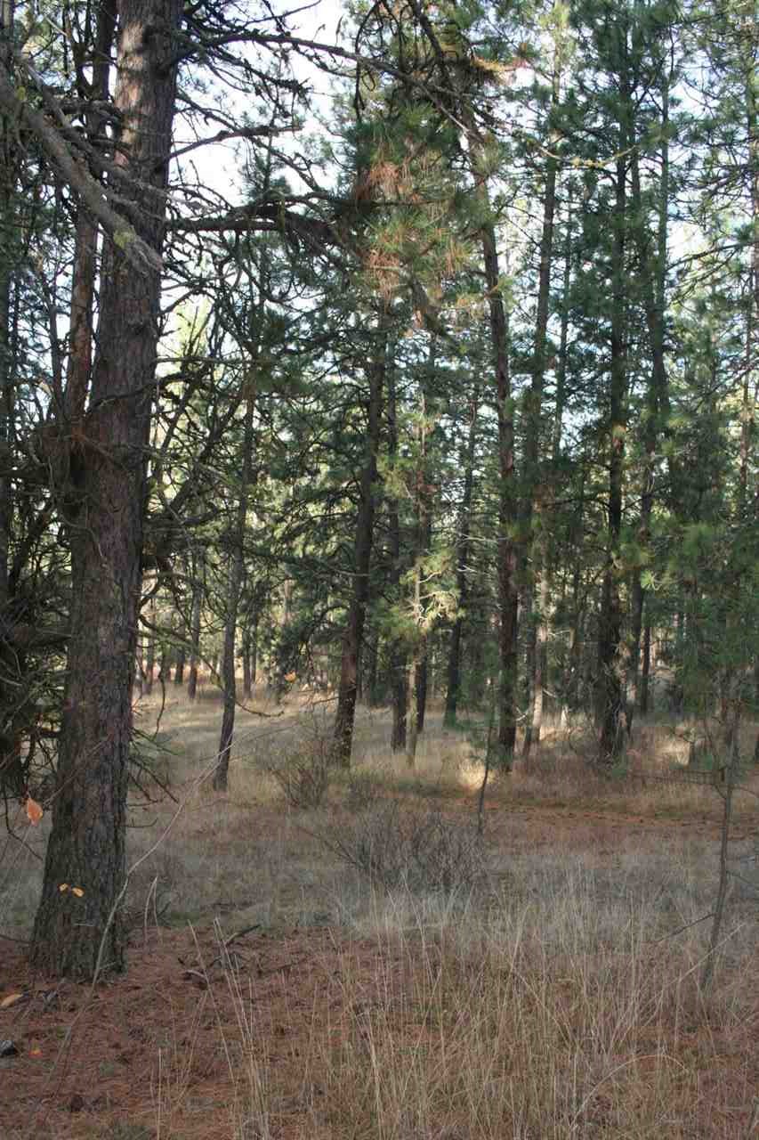 0 Weaver Road Deer Park, WA 99006 - Photo 15 of 20