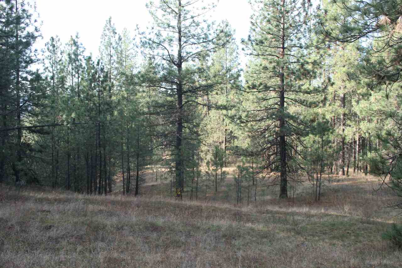 0 Weaver Road Deer Park, WA 99006 - Photo 16 of 20