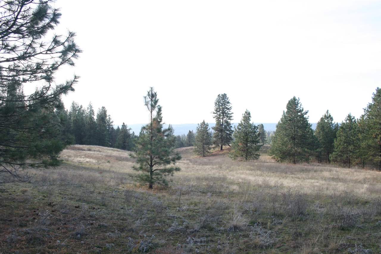 0 Weaver Road Deer Park, WA 99006 - Photo 17 of 20