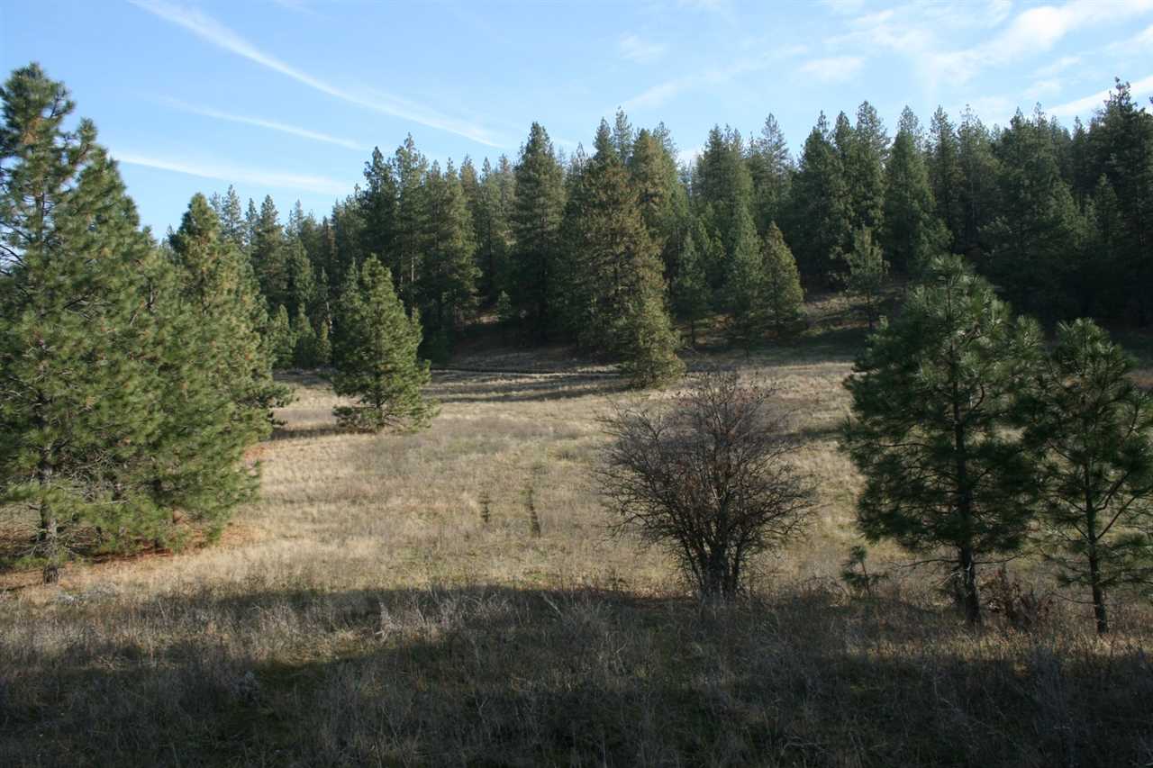 0 Weaver Road Deer Park, WA 99006 - Photo 18 of 20