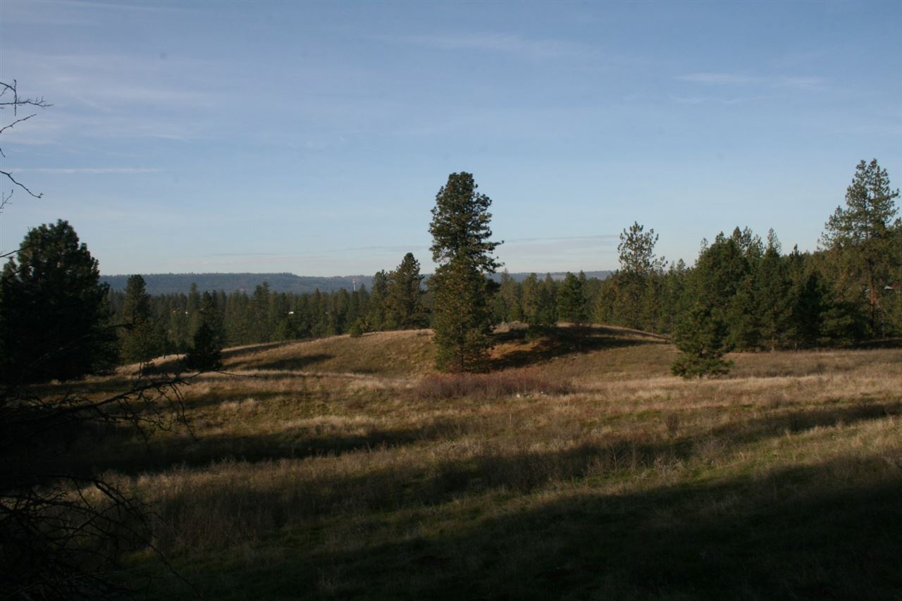0 Weaver Road Deer Park, WA 99006 - Photo 20 of 20