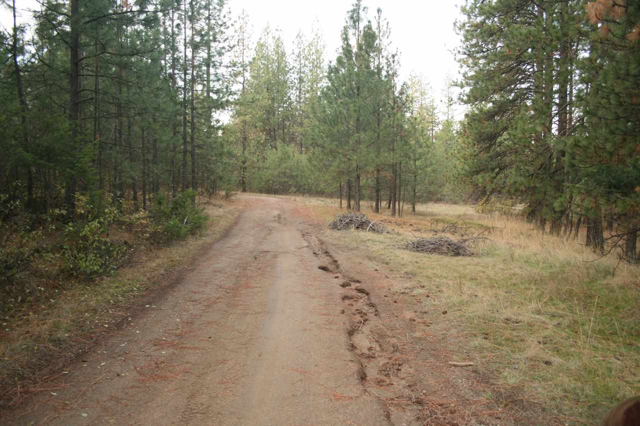 0 Weaver Road Deer Park, WA 99006 - Photo 3 of 20