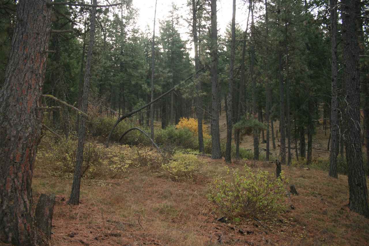 0 Weaver Road Deer Park, WA 99006 - Photo 4 of 20