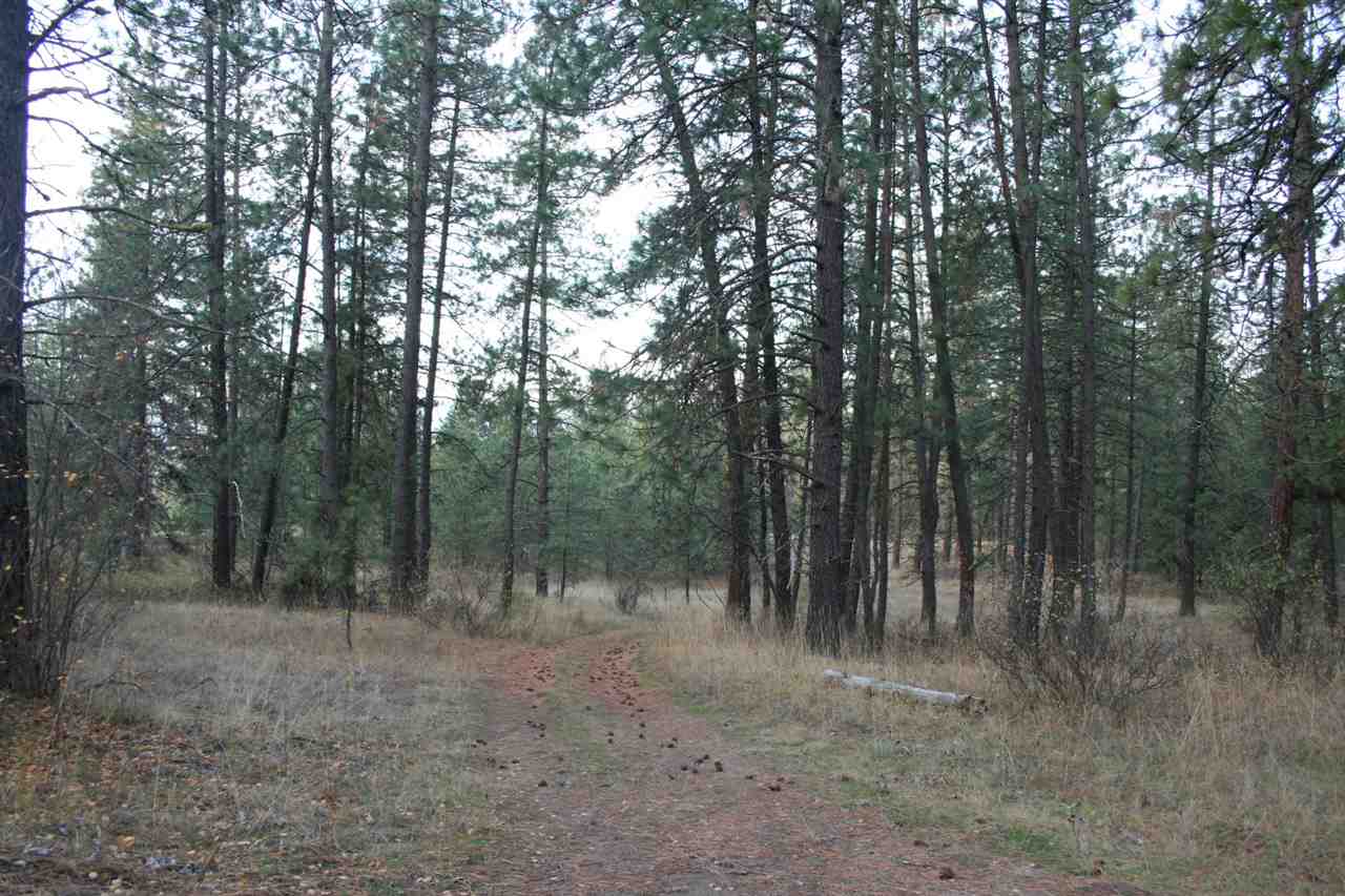 0 Weaver Road Deer Park, WA 99006 - Photo 5 of 20