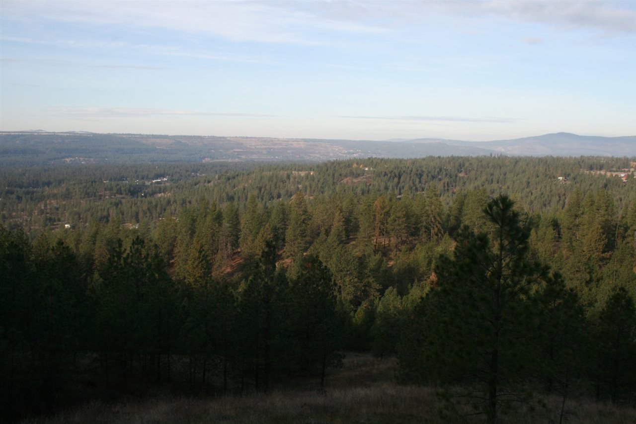 0 Weaver Road Deer Park, WA 99006 - Photo 7 of 20