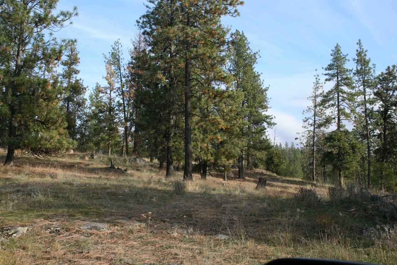 0 Weaver Road Deer Park, WA 99006 - Photo 8 of 20