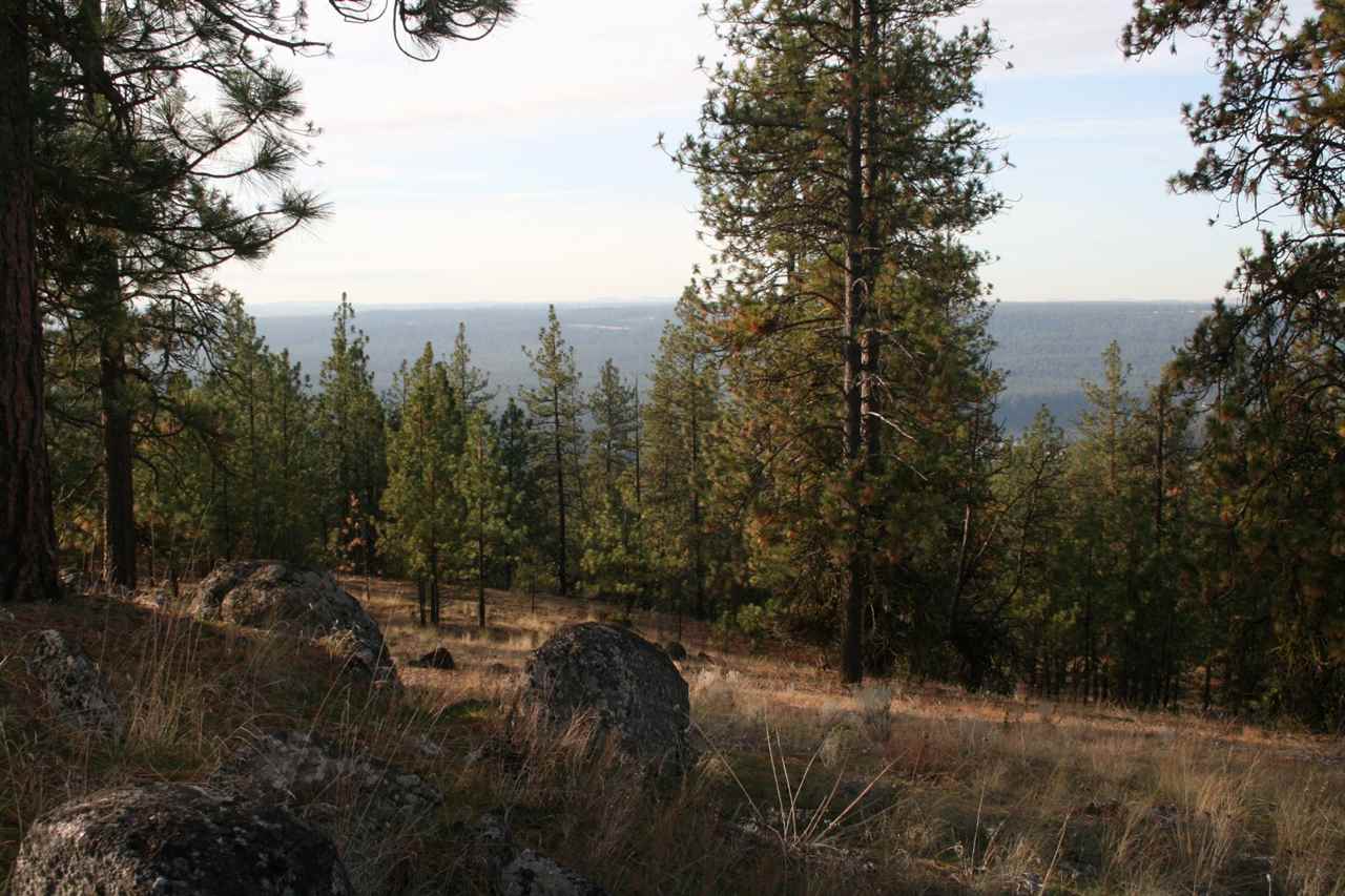 0 Weaver Road Deer Park, WA 99006 - Photo 10 of 20