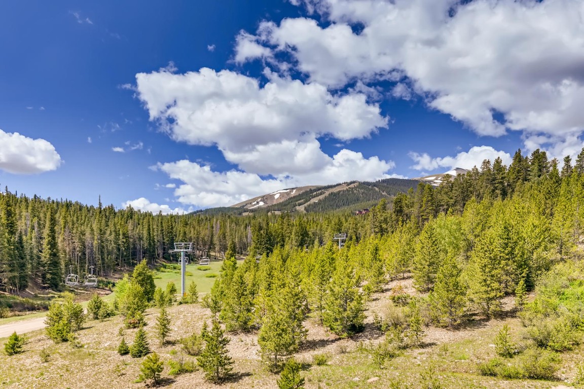 640 Village Road, Unit 4320 Breckenridge, CO 80424 - Photo 2 of 39 a view of a bunch of trees in front of house