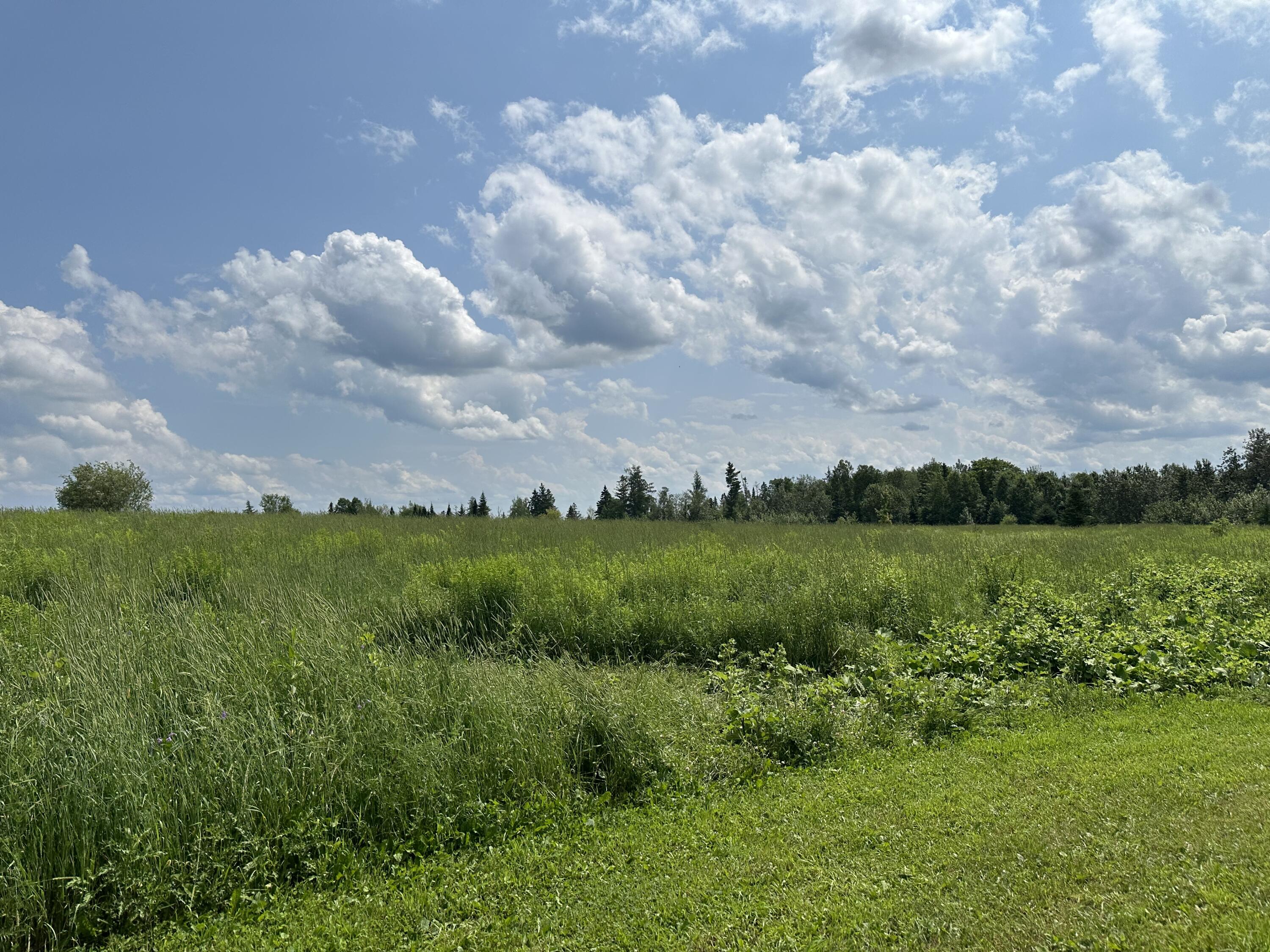 292 Emond Road Caribou, ME 04736 - Photo 20 of 57 IMG_0819