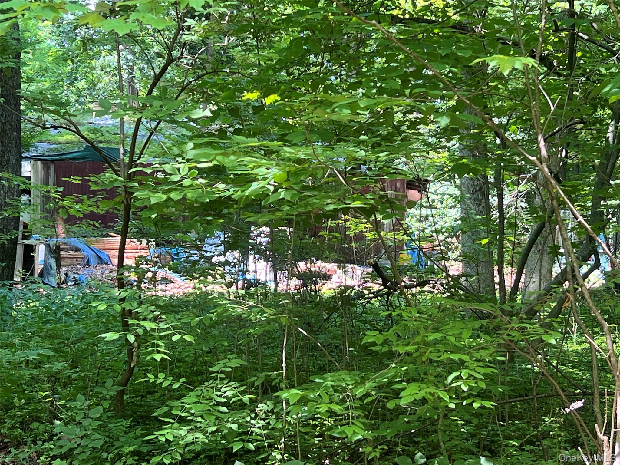 25 Hornbeck Ridge Poughkeepsie, NY 12603 - Photo 3 of 7