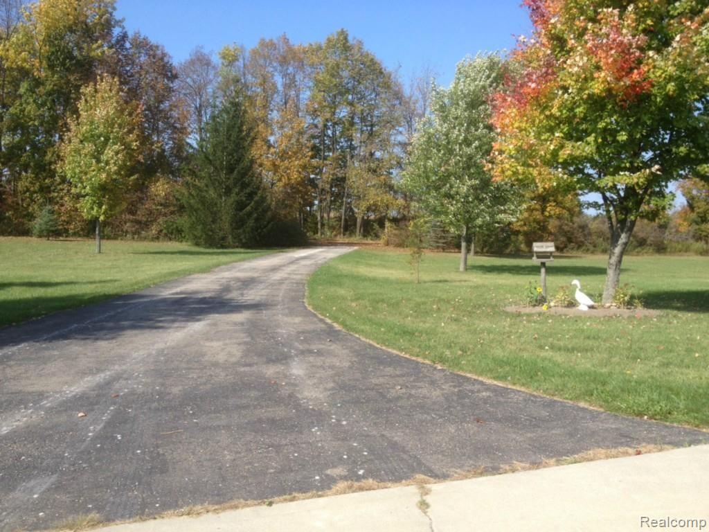 5462 Gleason Road Emmett, MI 48022 - Photo 4 of 37 Looking Toward Street - Fall 2013