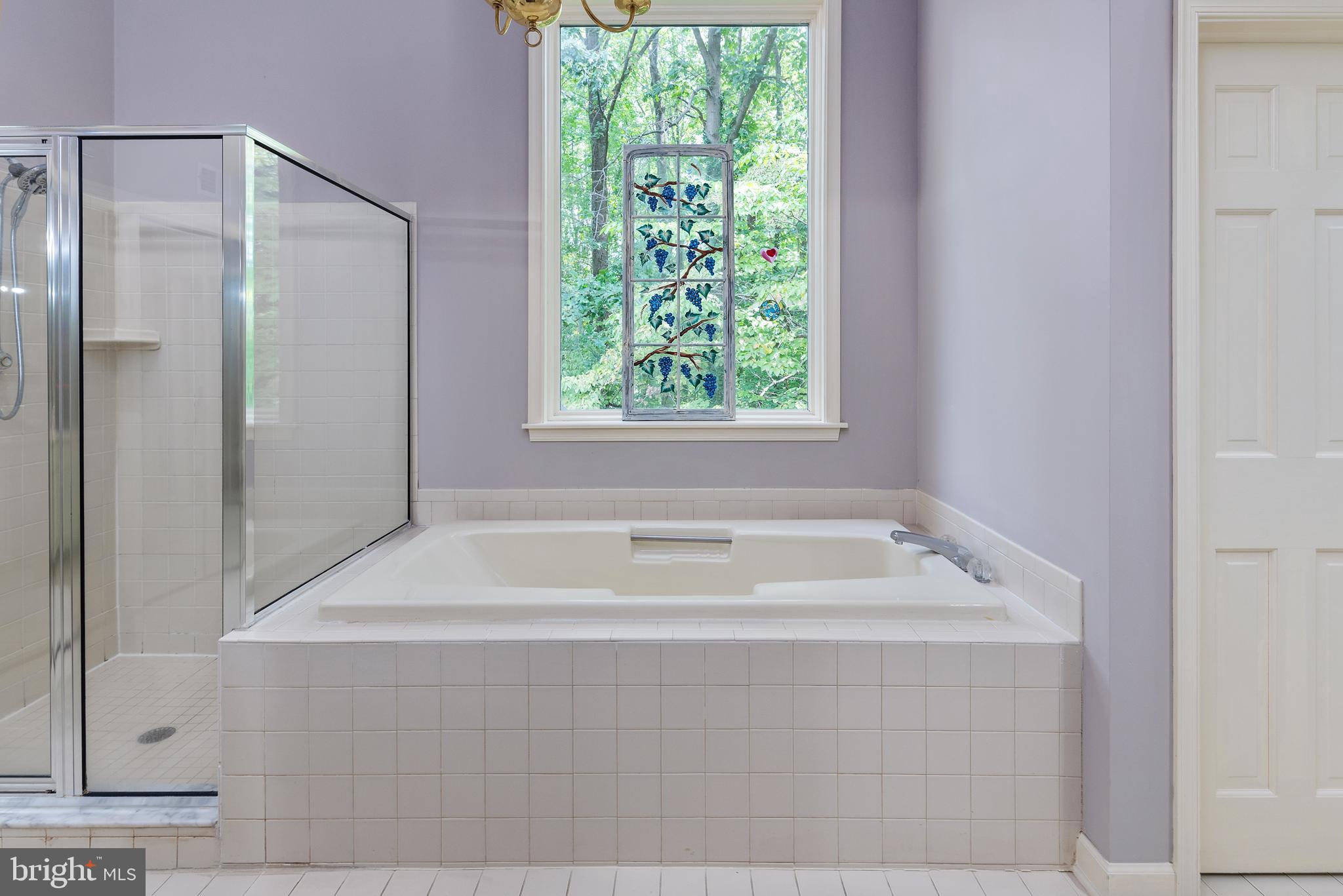 1936 High Ridge Road Annapolis, MD 21409 - Photo 21 of 75 Soaking tub and private shower and toilet room.