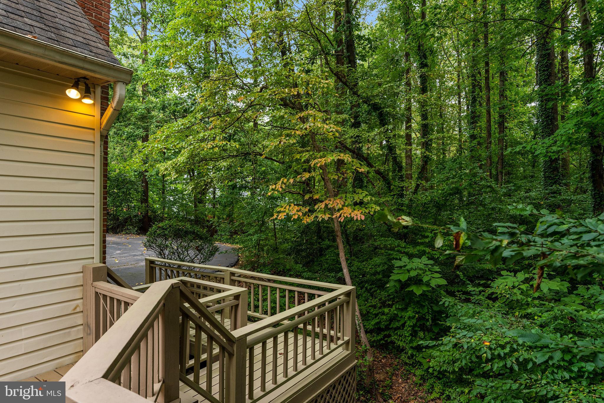 1936 High Ridge Road Annapolis, MD 21409 - Photo 38 of 75 This yard has sun and shade but perfect privacy.
