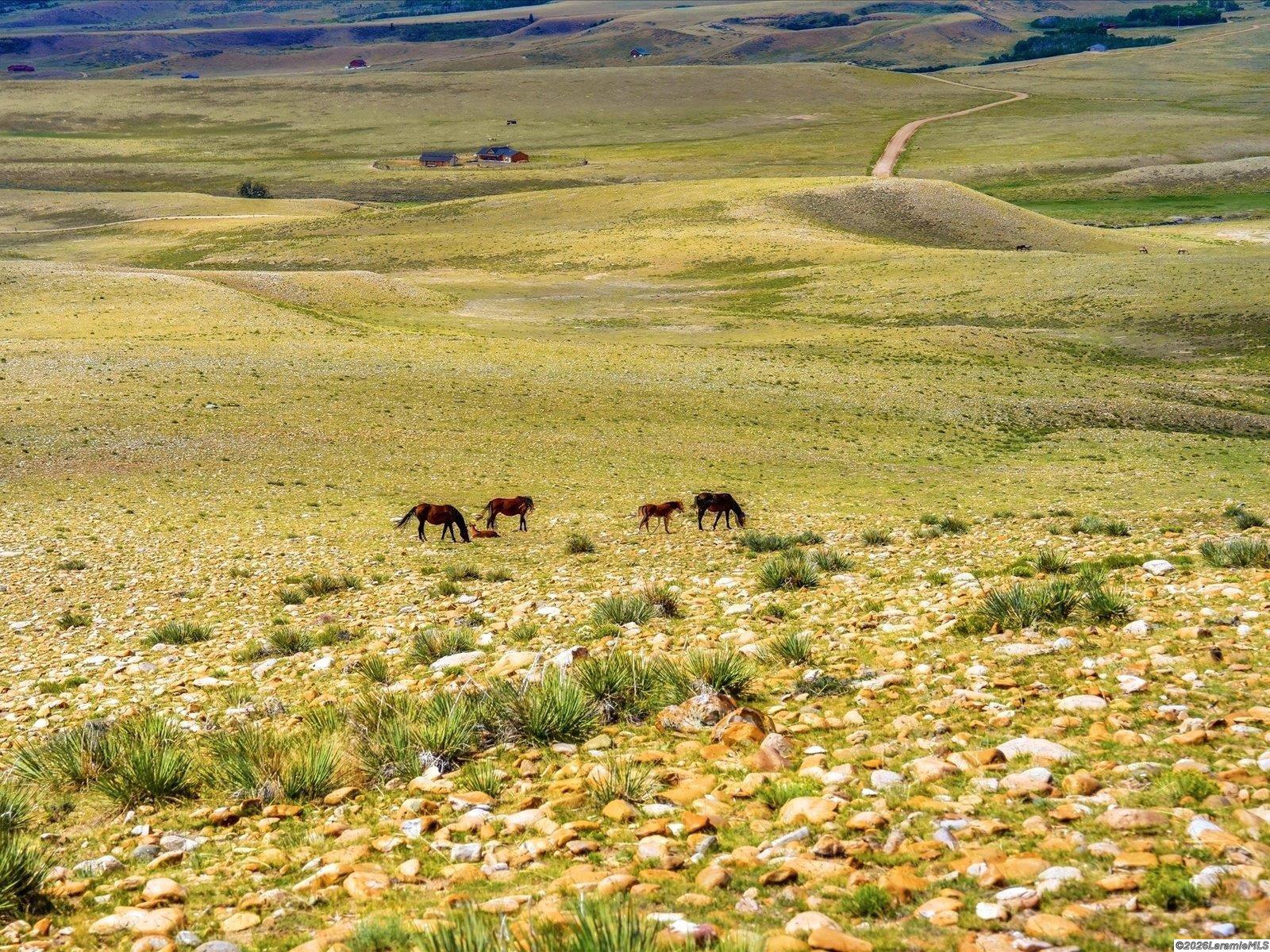 Tbd Wild Horse Ranch Road Laramie, WY 82070 - Photo 1 of 11 Gallery Image 1