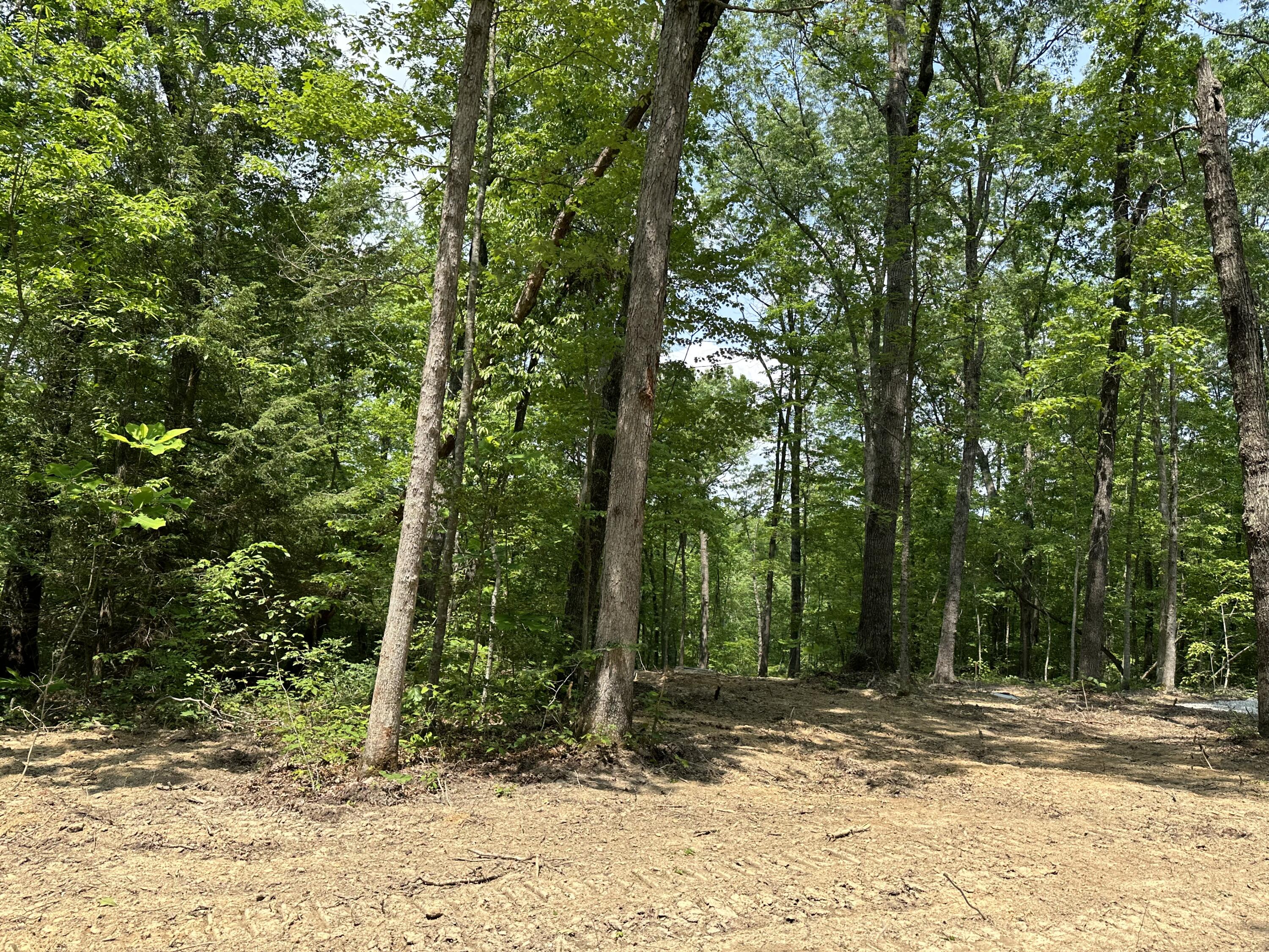 9 Bozeman Road Corbin, KY 40701 - Photo 13 of 17 IMG_5893