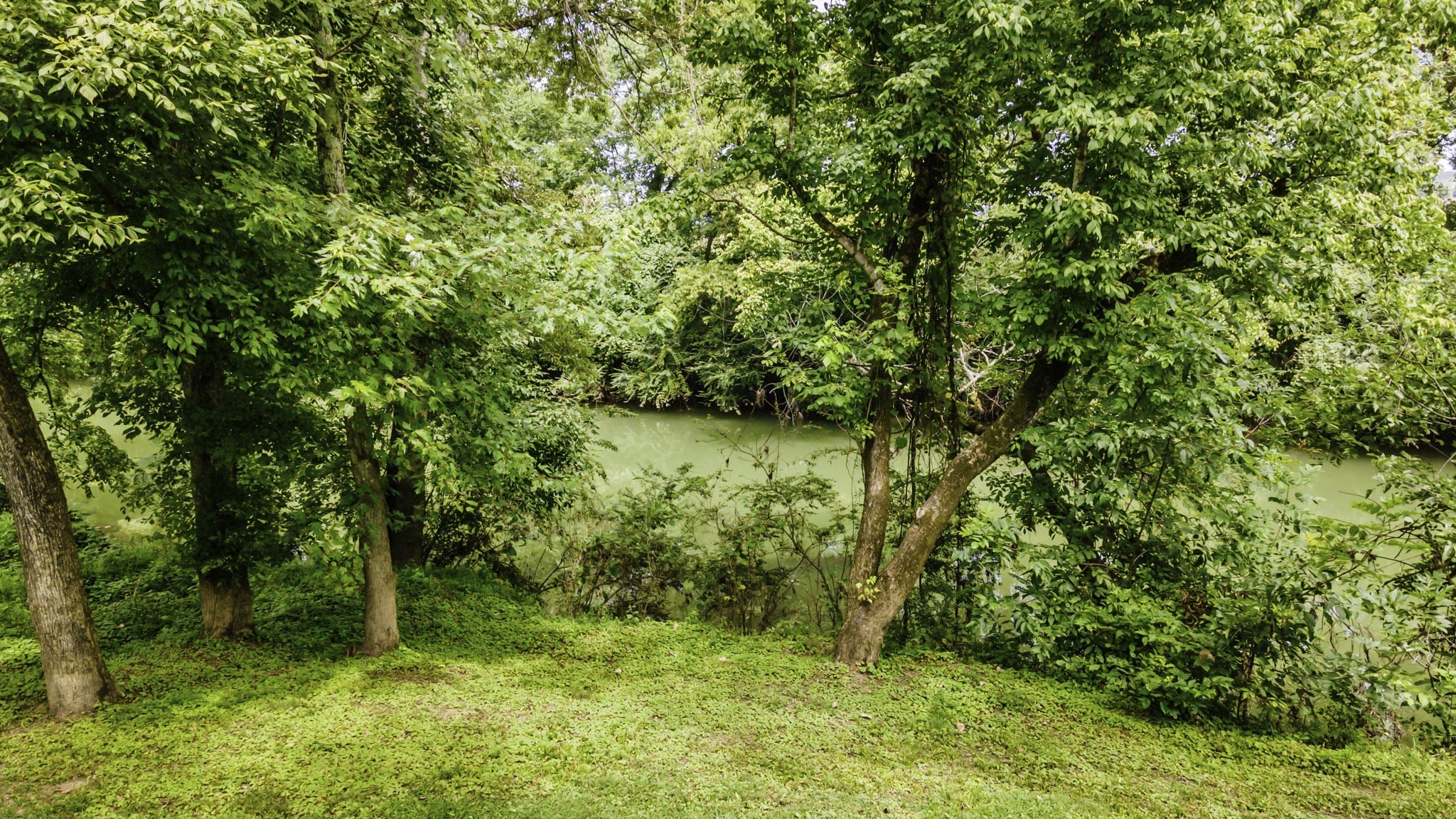 1306 Vales Mill Road Pulaski, TN 38478 - Photo 40 of 57 Gallery Image 40