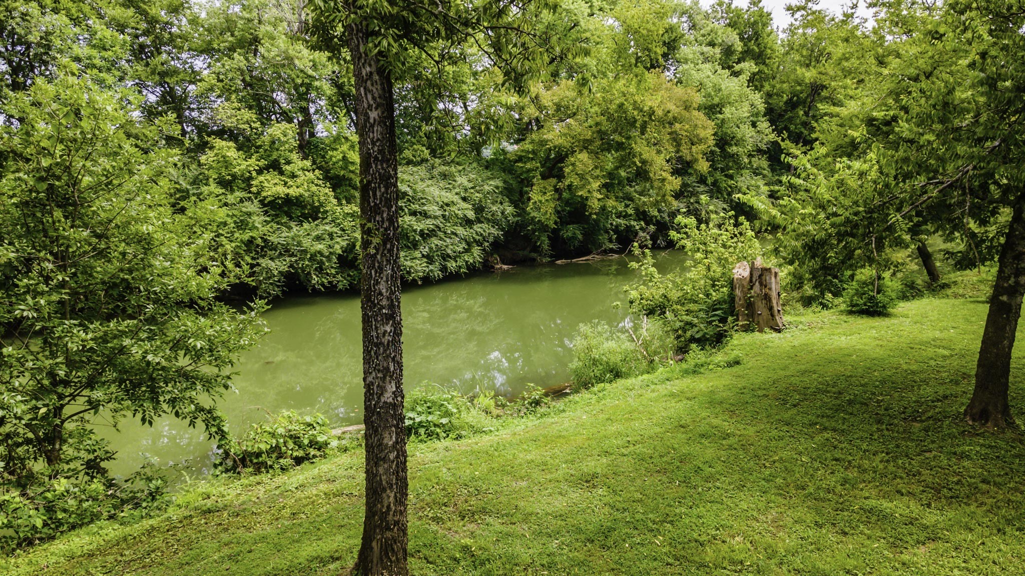 1306 Vales Mill Road Pulaski, TN 38478 - Photo 41 of 57 Gallery Image 41