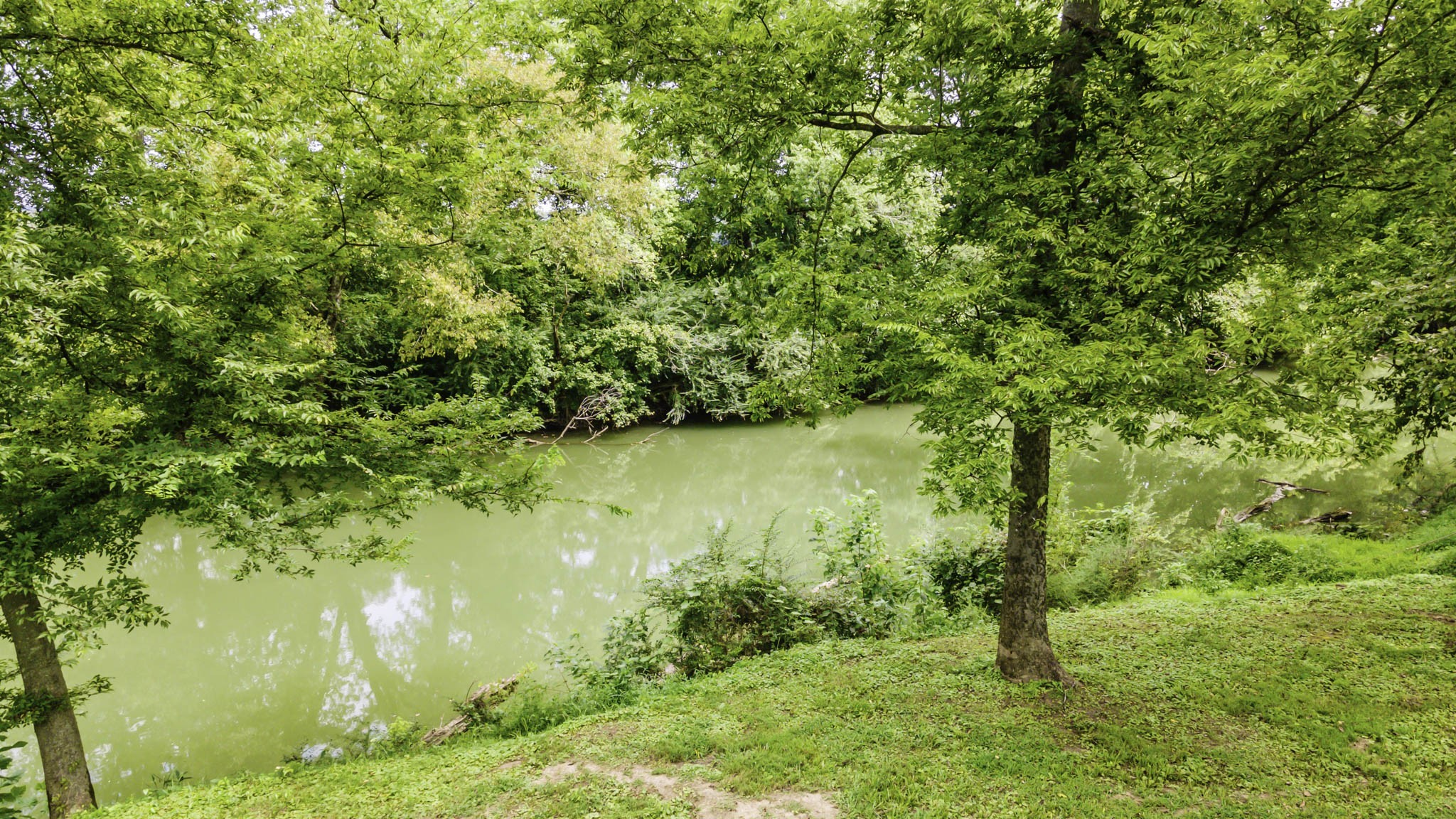 1306 Vales Mill Road Pulaski, TN 38478 - Photo 43 of 57 Gallery Image 43