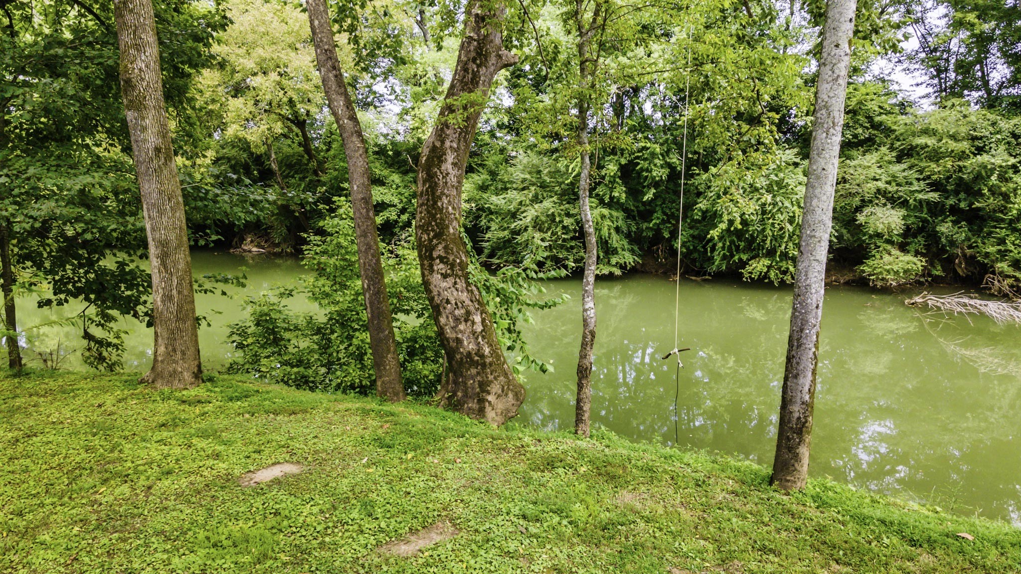 1306 Vales Mill Road Pulaski, TN 38478 - Photo 46 of 57 Gallery Image 46