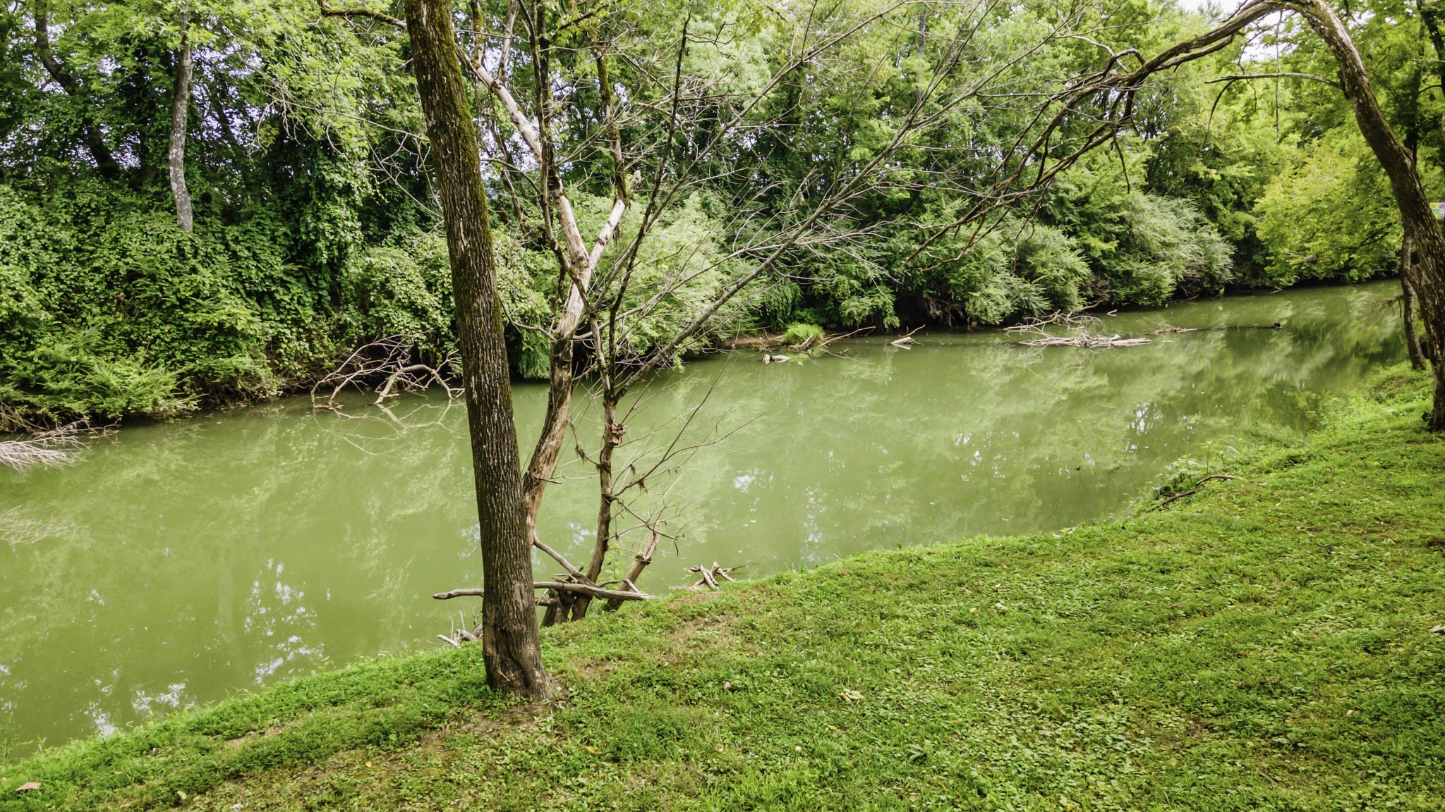 1306 Vales Mill Road Pulaski, TN 38478 - Photo 47 of 57 Gallery Image 47