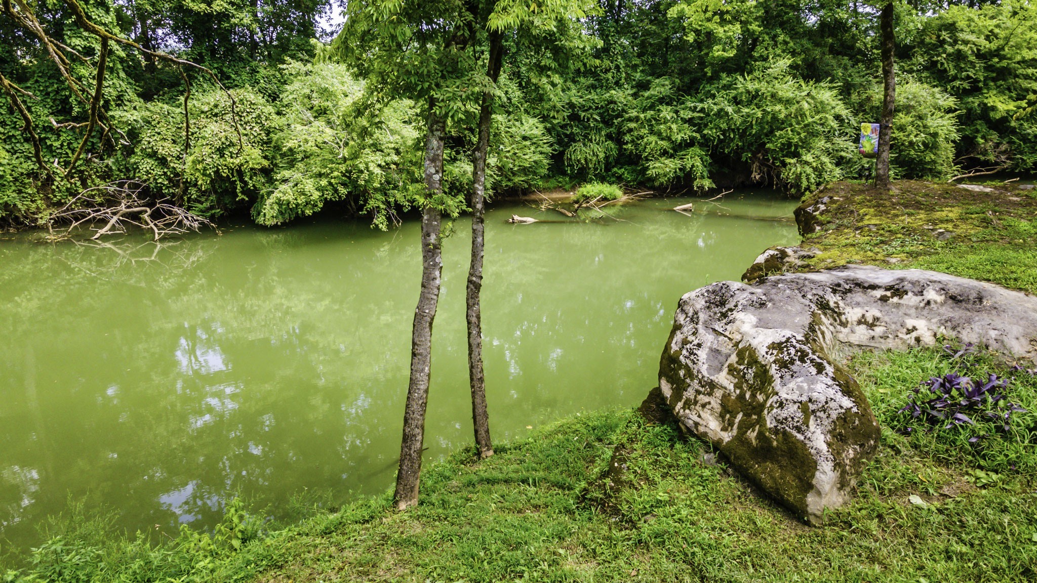 1306 Vales Mill Road Pulaski, TN 38478 - Photo 50 of 57 Gallery Image 50