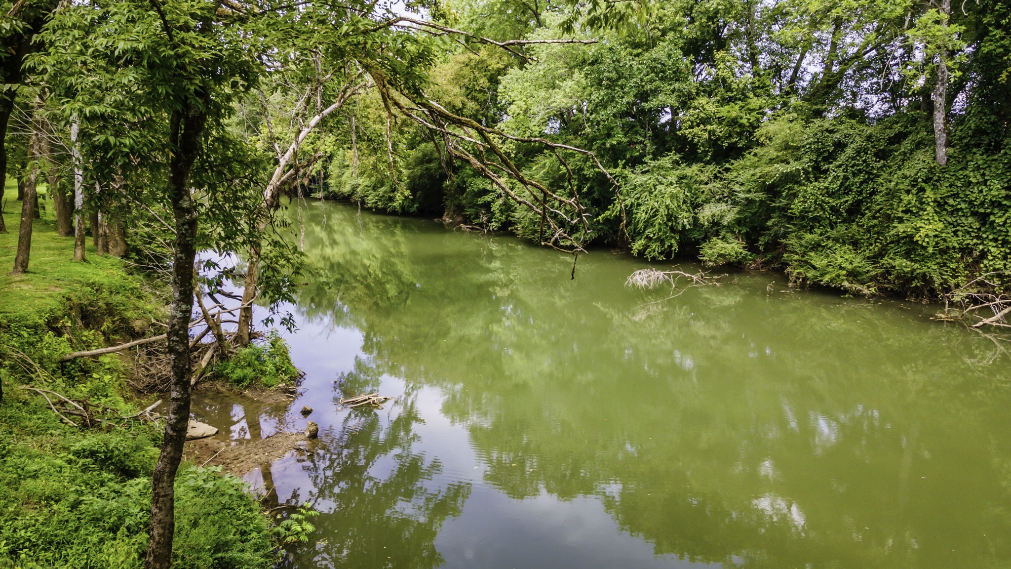 1306 Vales Mill Road Pulaski, TN 38478 - Photo 52 of 57 Gallery Image 52