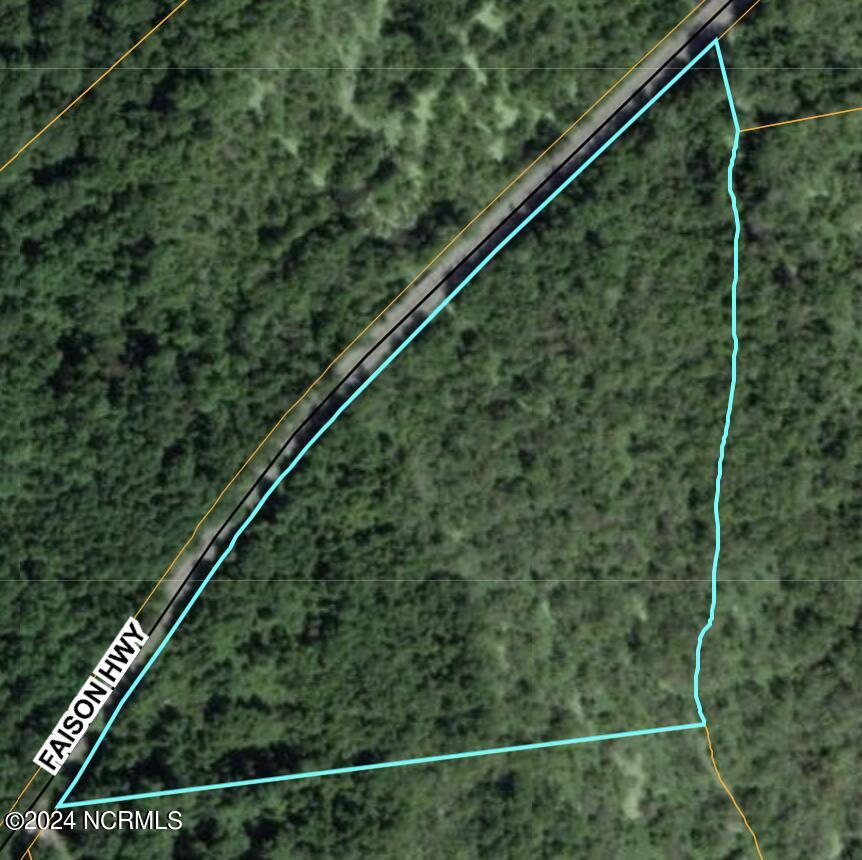 0 Faison HWY Overhead shot