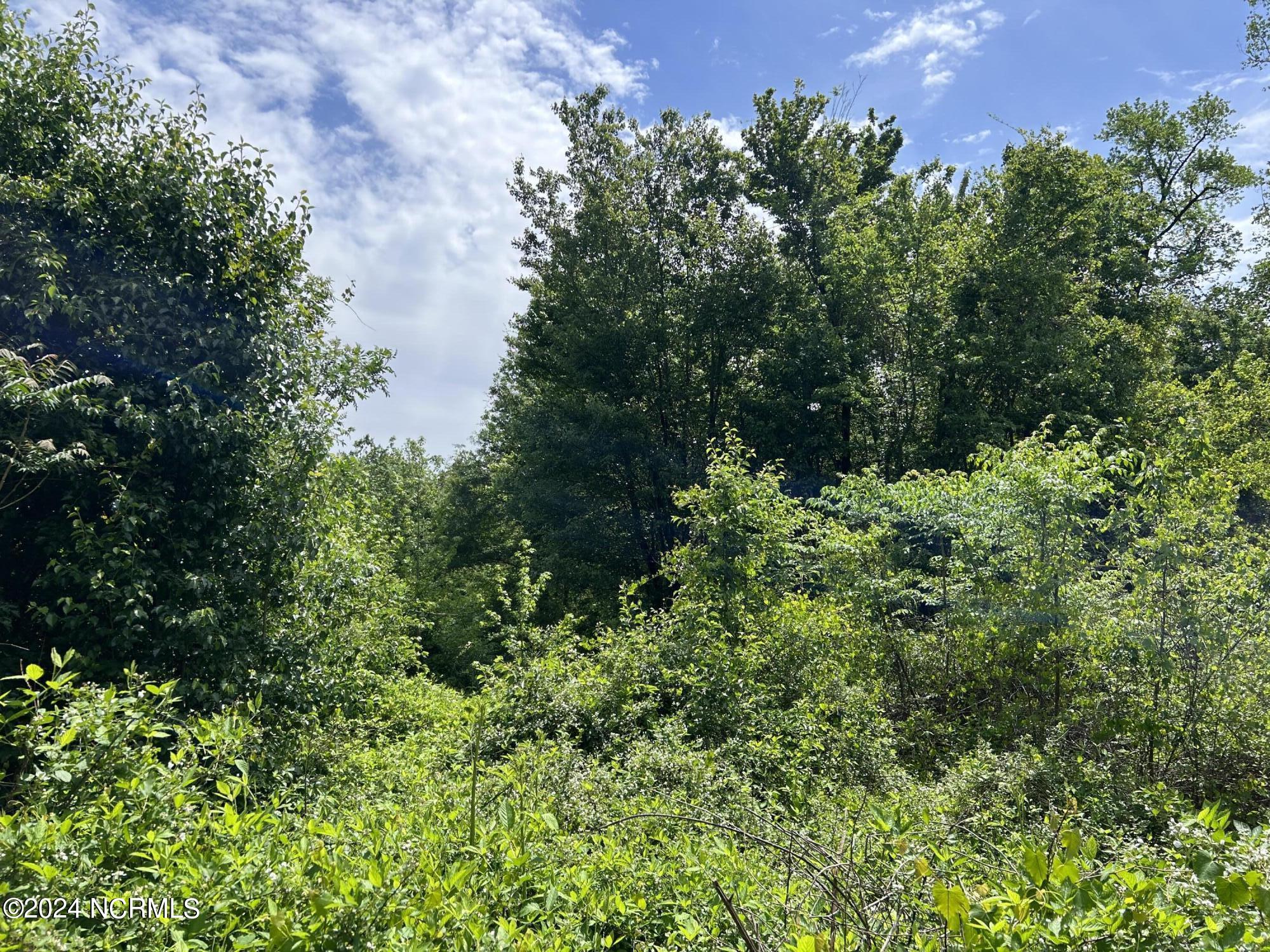 0 Faison Highway Faison, NC 28341 - Photo 11 of 14 IMG_9474