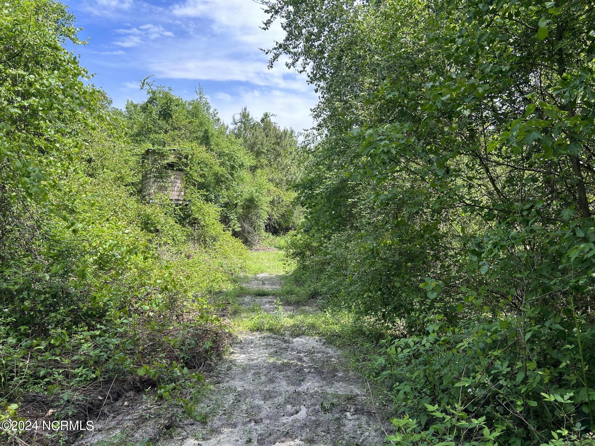0 Faison Highway Faison, NC 28341 - Photo 12 of 14 IMG_9473