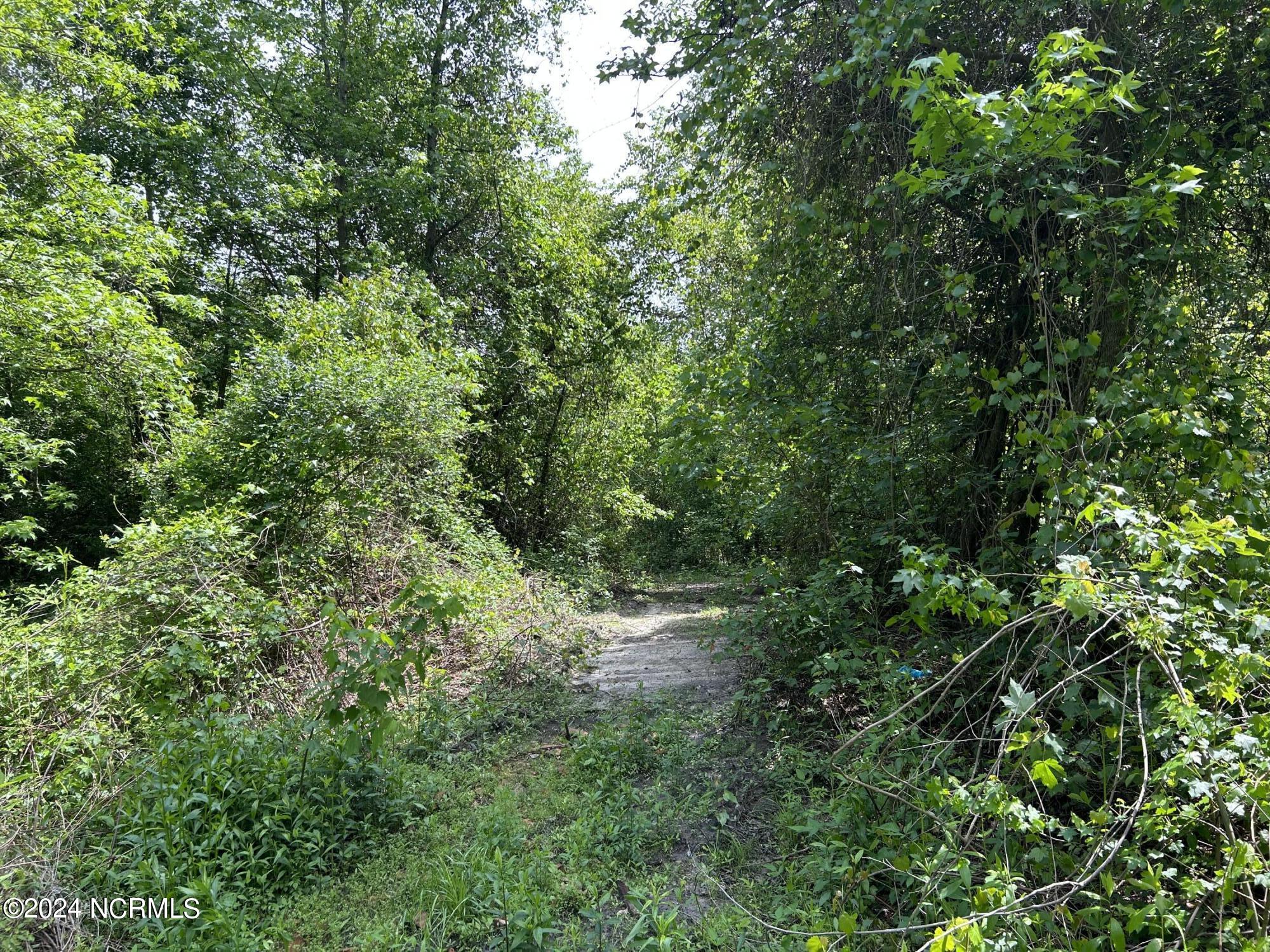 0 Faison Highway Faison, NC 28341 - Photo 2 of 14 IMG_9470