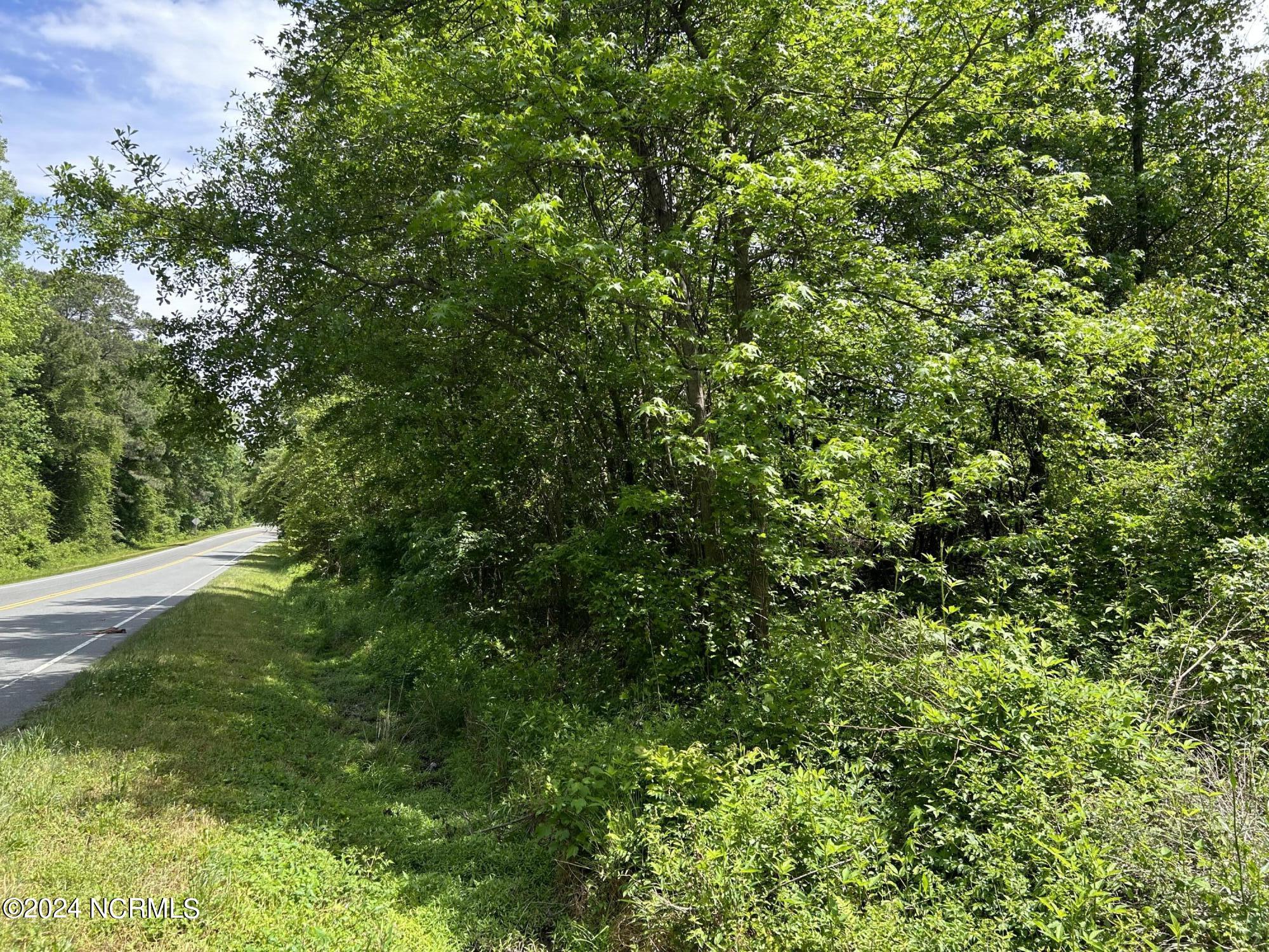 0 Faison Highway Faison, NC 28341 - Photo 4 of 14 IMG_9471