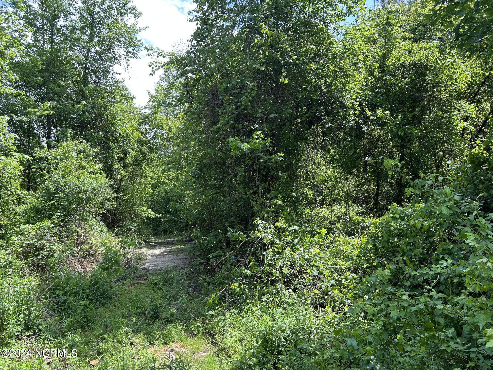 0 Faison Highway Faison, NC 28341 - Photo 5 of 14 IMG_9481