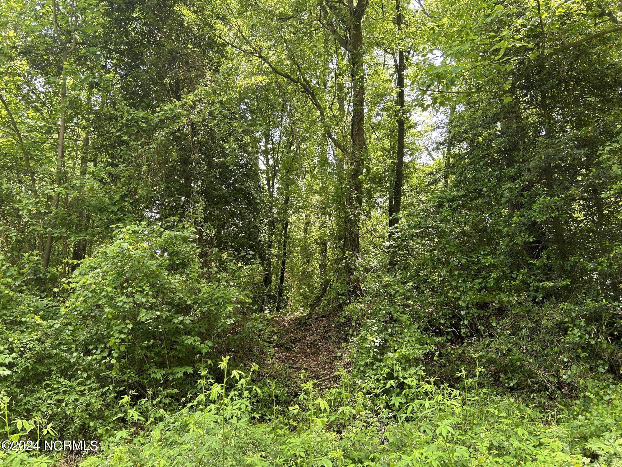 0 Faison Highway Faison, NC 28341 - Photo 6 of 14 IMG_9482