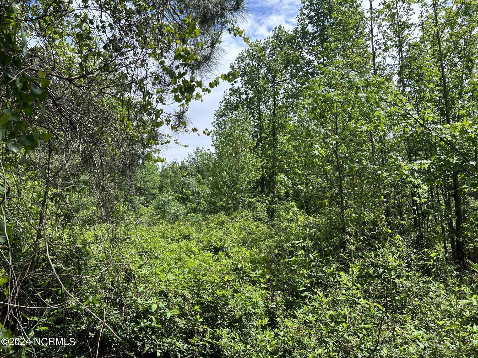 0 Faison Highway Faison, NC 28341 - Photo 7 of 14 IMG_9477