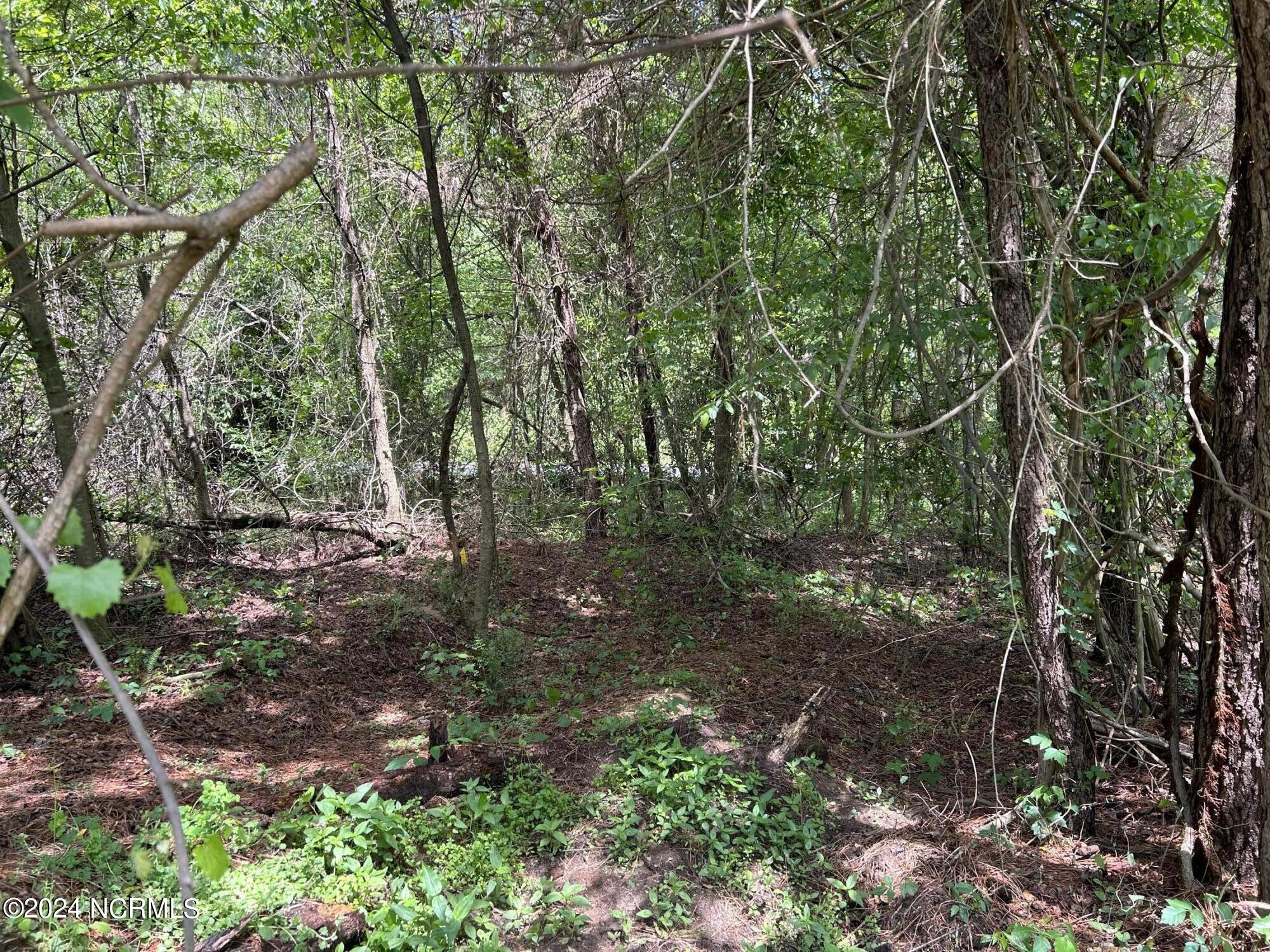 0 Faison Highway Faison, NC 28341 - Photo 8 of 14 IMG_9476