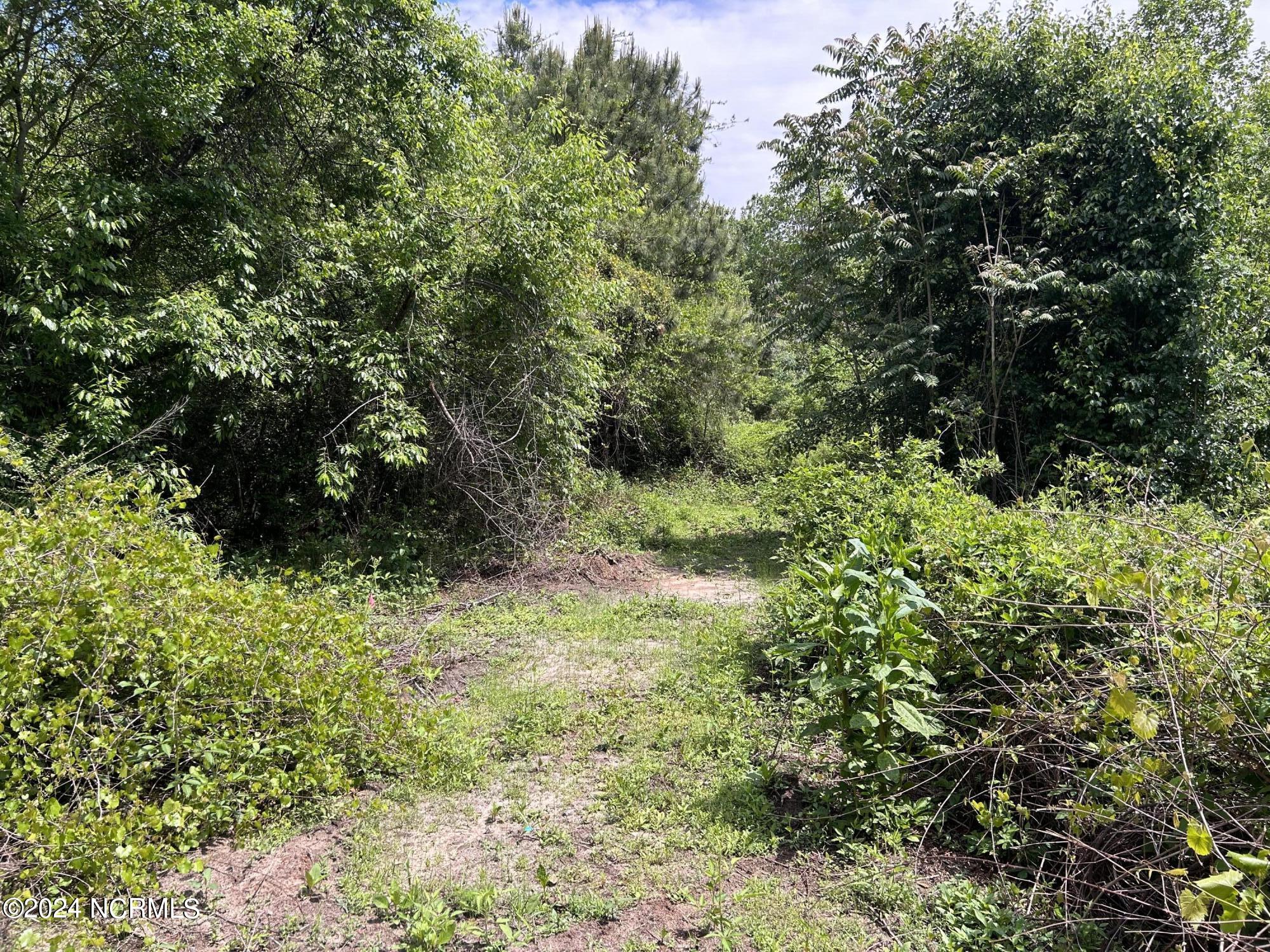 0 Faison Highway Faison, NC 28341 - Photo 9 of 14 IMG_9478