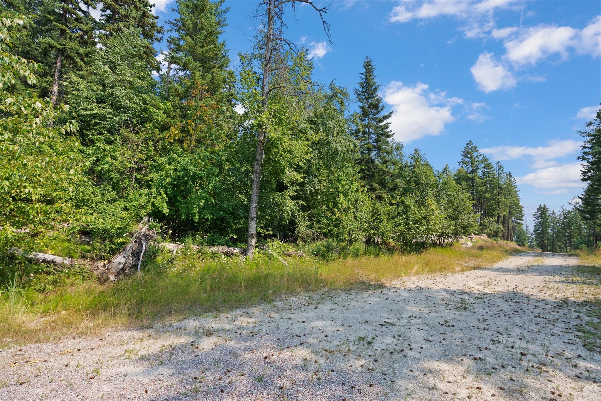 168 Whitefish Lookout Road Whitefish, MT 59937 - Photo 21 of 21 Gallery Image 21